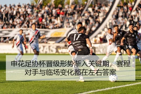 申花足协杯晋级形势渐入关键期，赛程对手与临场变化都在左右答案
